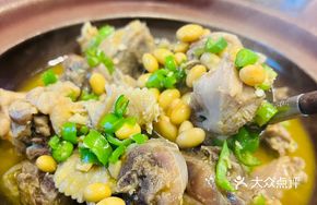 Tea Oil Fresh Abalone with Free-range Chicken