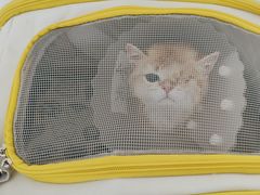 -美联众合动物医院·24h京西诊疗中心