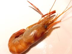 -姜君·千岛湖鱼头馆(浦东大道店)