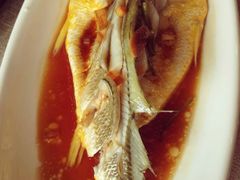 黄花鱼-锦顺海鲜•口味菜(李村店)