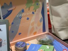 -代数学家algebraist(苏州中心店)