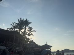 -Coco Tam’s