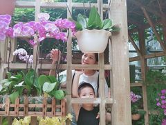 -南山植物园