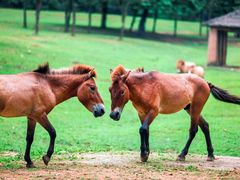 -杭州野生动物世界