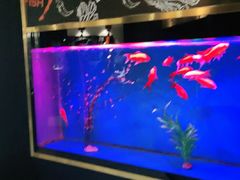 -蜀锦堂·川味现炒(襄阳武商汇店)