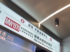 -敏华冰厅(平安金融中心店)