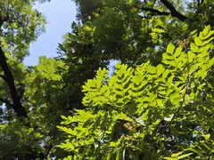 -洛阳周公庙博物馆