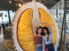 -都念榴莲·城市榴莲