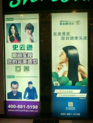 -史云逊养发护发