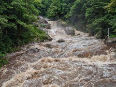 -炎陵县神农谷国家森林公园