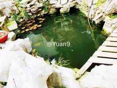 -美味之家·湖景农家乐(太湖东山店)