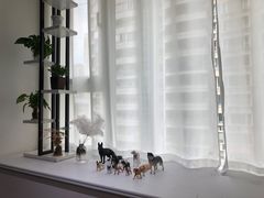 -简·无界健身工作室·运动康复·体态(石厦店)