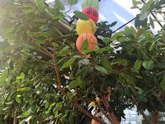 -北京植物园-展览温室