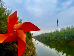 -黄海国家森林公园