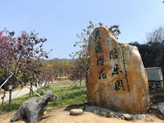 -天适樱花悠乐园