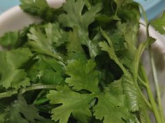 -草原传奇鲜羊火锅(桥北店)