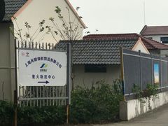 -上海都市菜园
