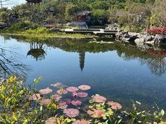 -顺峰山公园