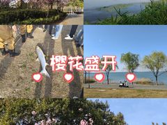 -阳澄湖半岛旅游度假区
