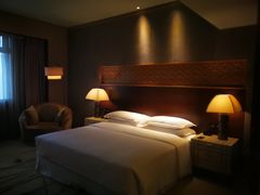 -西安赛瑞喜来登大酒店