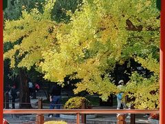 -香山公园