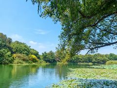 -一江春水·杭帮臻宴(三台山店)