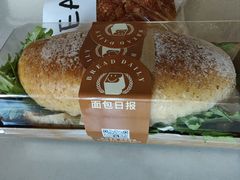 -面包日报