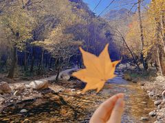 -玉渡山自然风景区