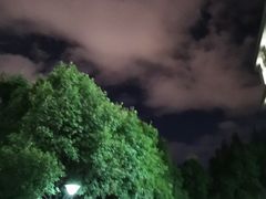 -西南林业大学(白龙校区)