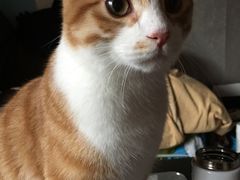 -PETKIT小佩宠物(古北店)