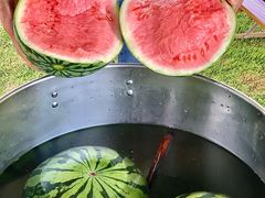 -七的湖·晚芳亭·阳澄湖农家菜·大闸蟹(莲花岛店)