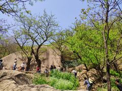 -嵖岈山风景区