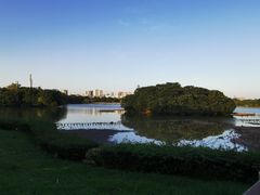 -海珠湖公园