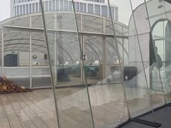 -Hi City·城市之巅