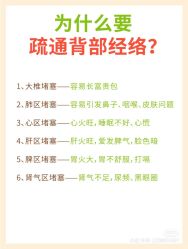点击看大图 -玛莲朵·海菲秀冰珀科