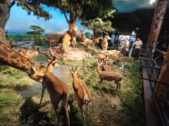 -国家自然博物馆