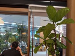 -一沙一城·岩烤牛扒(深圳首店)