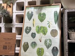 -自由生长植物工作室(深港花卉中心店)