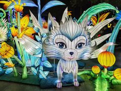 -海合安武汉极地海洋公园