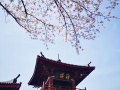 -南翔古镇