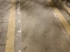 -云溪植物园
