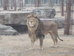 -秦皇岛野生动物园