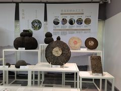 -中国茶叶博物馆(双峰馆区)