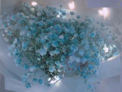 -花心思鲜花店(武昌徐东店)