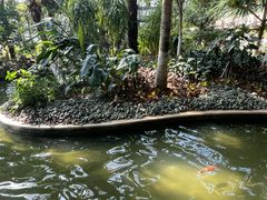 -禹州森林植物园