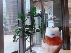 富士山上桃胶芦荟嫩肤酸奶-Blueglass酸奶(财富购物中心店)