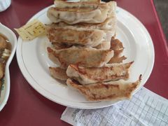 -青岛锅贴(四流中路店)