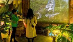 -恐龙探索乐园(磁器口店)