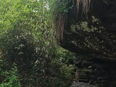 -武夷山风景名胜区-玉女峰