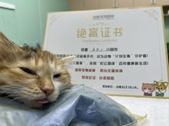 -瑞鹏宠物医院·爱宠堂·骨外专科(西荷分院)